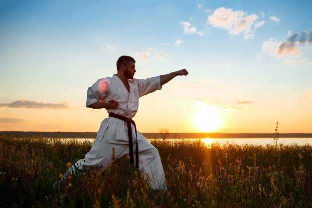 فرق اصلی کاراته و تکواندو