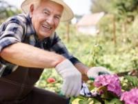 روش مراقبت از پوست هنگام باغبانانی و کشاورزی