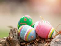 آموزش رنگ کردن تخم مرغ با رنگ خوراکی و طبیعی