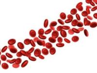 برای افزایش گلبول قرمز خون چی بخوریم؟