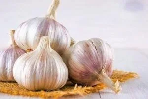 نگه داشتن سیر تازه