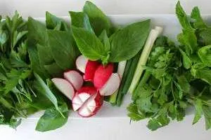 نگهداری سبزی خوردن